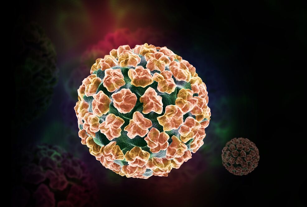 papillomavirus humain dans le corps